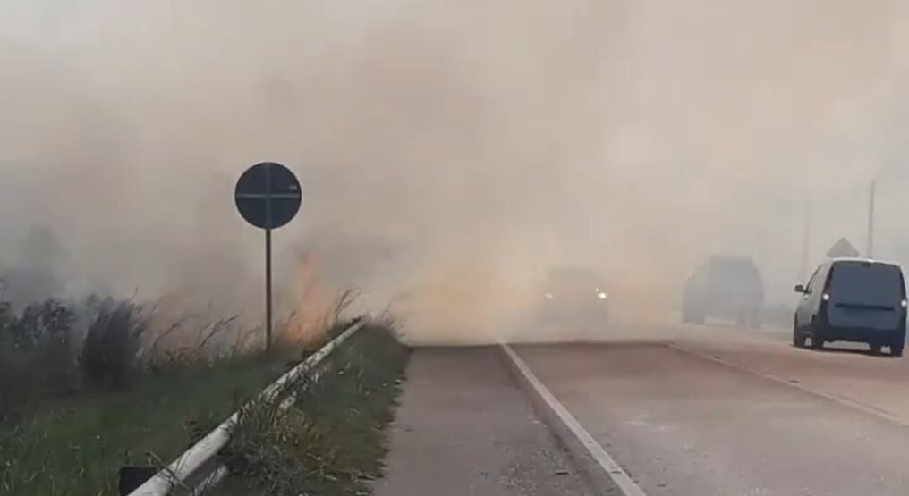 Cinco compañías de bomberos trabajan para sofocar las llamas. Foto: Gentileza