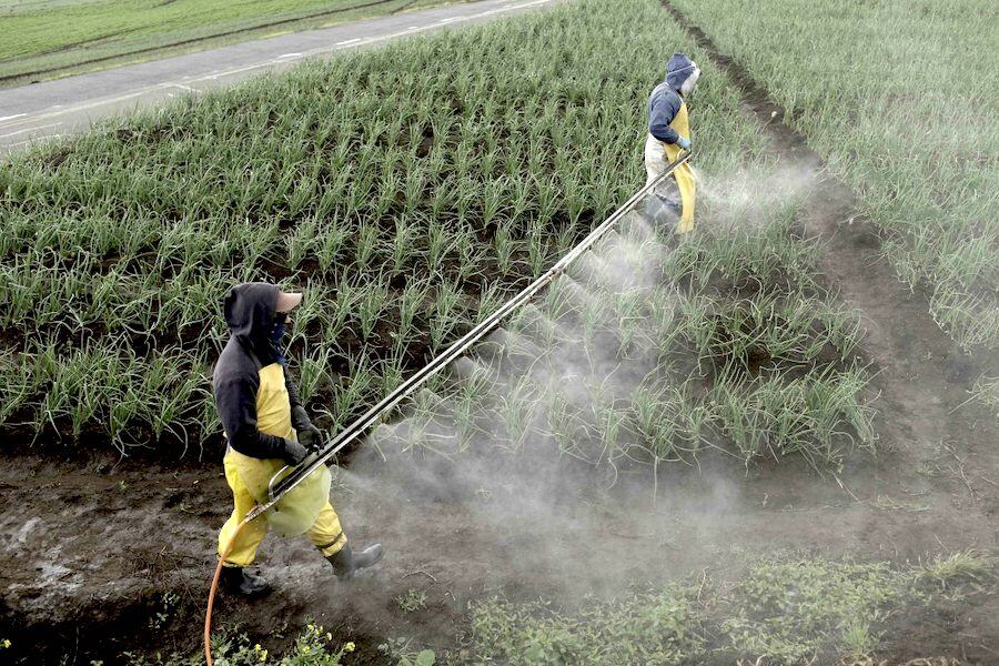 Lo que más importó Paraguay de Brasil fueron los abonos y fertilizantes por valor de USD 157 millones. Foto: Archivo