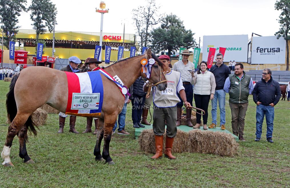 La Ganadera Sofía fue premiada entre los mejores puestos en el juzgamiento de animales equinos con una hembra de la raza criolla. Foto: Néstor Soto
