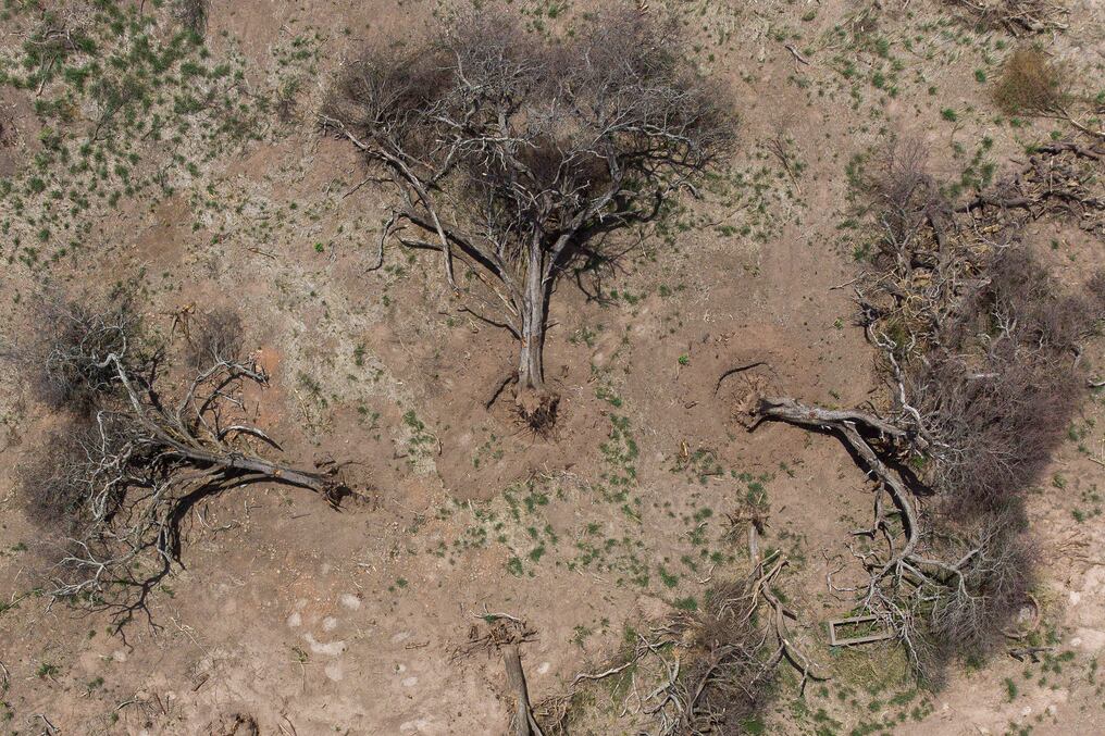 La Tierra perdió una importante área de selva durante el año 2022, principalmente en regiones de Sudamérica. Foto: AFP