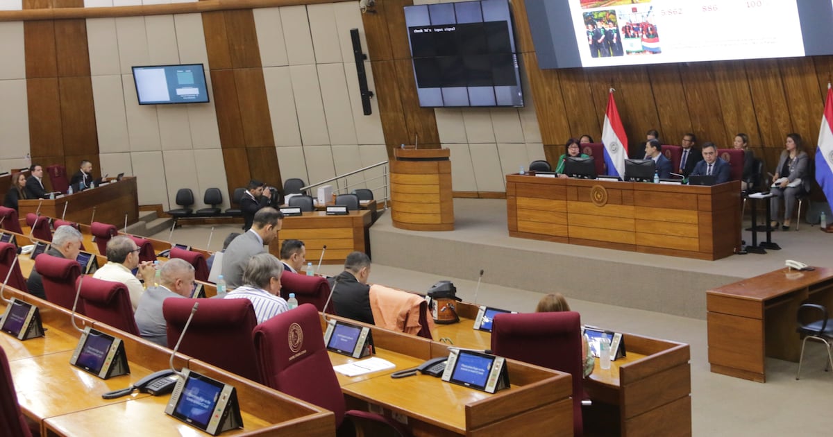 Comisión Bicameral evalúa presupuesto de la UNA