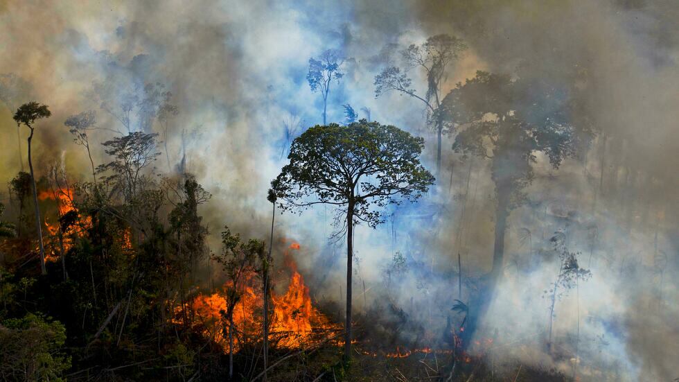 Segú las estadísticas reveladas hoy, el año pasado ardieron más superficies boscosas que pastizales, lo que representa una gran preocupación, sobre todo porque ocurrió en Amazonía. Foto: AFP.