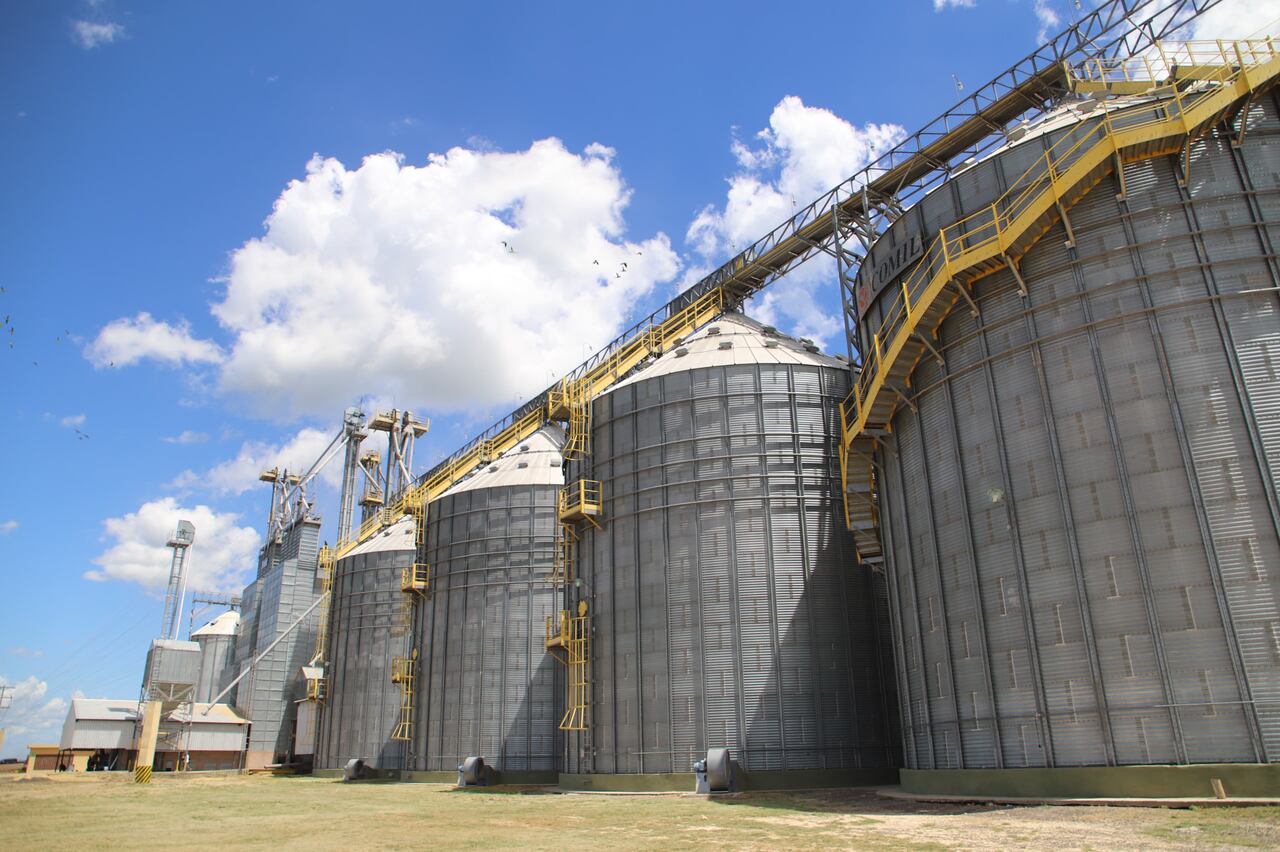 La industrialización de productos del agro está siendo fundamental en la expansión de las exportaciones. Foto: Archivo