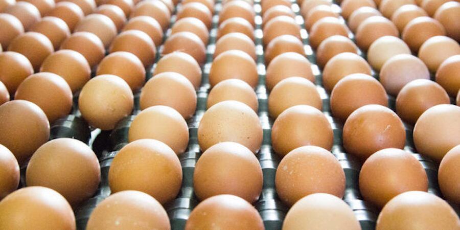 El abastecimiento de estas mercancías que son de extrema importancia para el país está asegurado, mencionaron desde Senacsa. Foto: Gentileza