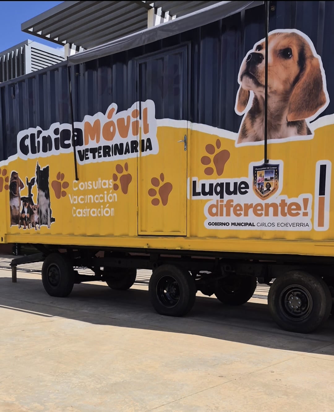 La Nación / Concejal de Luque celebró la primera Clínica Móvil Veterinaria  de la ciudad