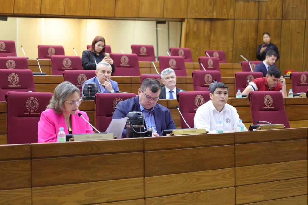 Este miércoles se concretó la primera sesión ordinaria de la Comisión Permanente del Congreso Nacional. Foto: Gentileza