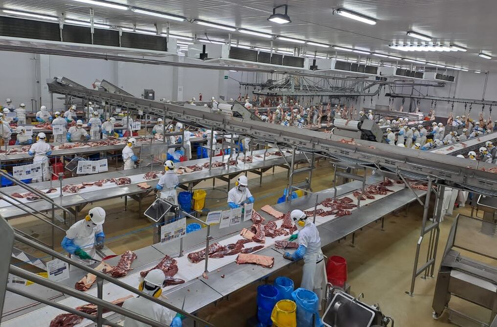 Durante los primeros tres meses del año se obtuvo una faena total de 585.290 bovinos, de los cuales 163.566 corresponden únicamente al mes de marzo. Foto: Senacsa