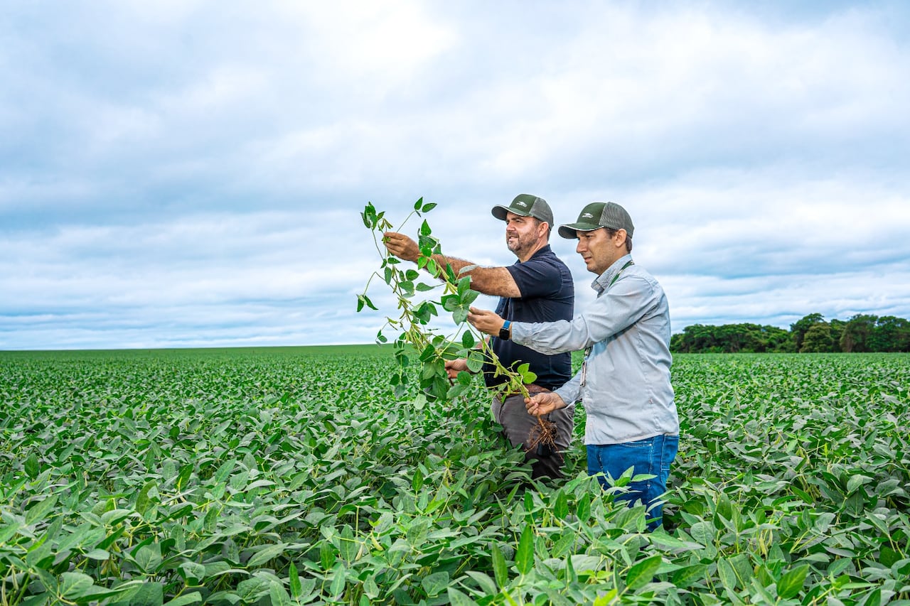 La ENA es el primer relevamiento realizado tras el Censo Agropecuario Nacional (CAN) de 2022. Foto: Gentileza