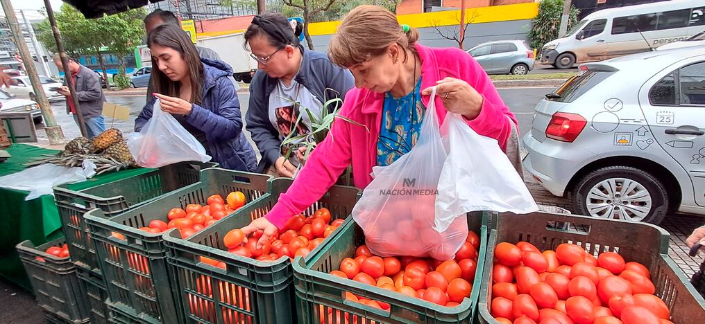 Este jueves, en la feria del MAG que se realizará en la Costanera de Asunción, ofertarán tomates a G. 5.000 y hasta G. 3.000, además de una amplia variedad de productos frescos traídos directamente desde las fincas. Foto: Pánfilo Leguizamón