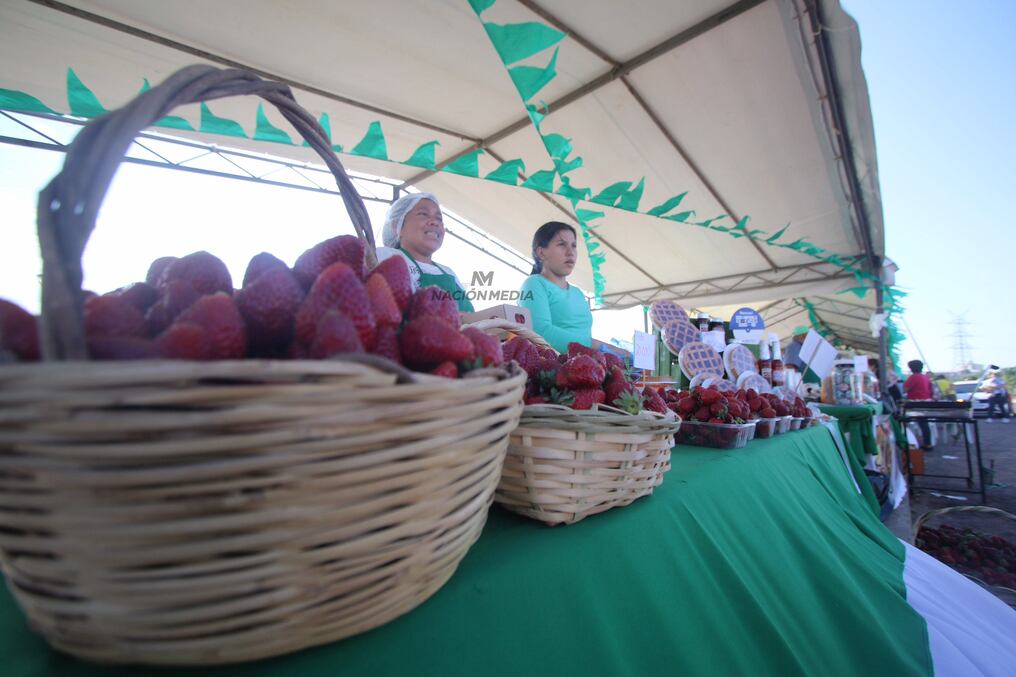 Desde la dirección de Comercialización del MAG mencionaron que las mujeres rurales cuentan con mayor participación en estos eventos y destacaron que las “ferias son mercados ganados” para los agricultores. Foto: Emilio Bazán