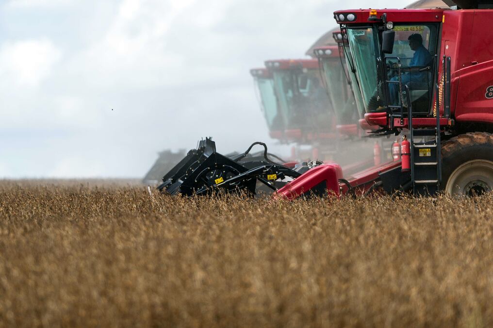 Los meses de diciembre y enero de la zafra 2023-2024 estarán marcados por lluvias escasas, mientras que para febrero se prevén niveles superiores a lo normal, según Inbio. Foto: Gentileza