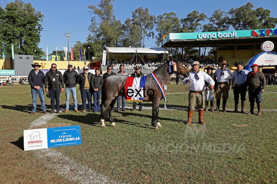 Como Tercer Mejor Hembra qued Empilchada de la Ganadera Chajha.FOTO: CARLOS JURI