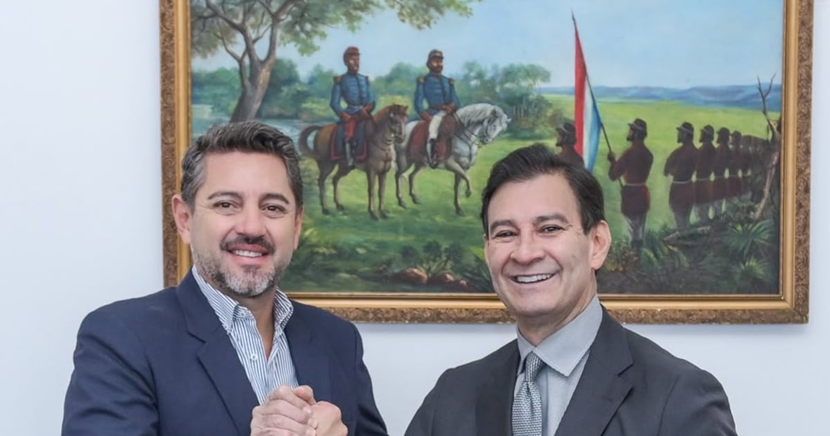 Alliana se reunió con Ovelar y gobernadores