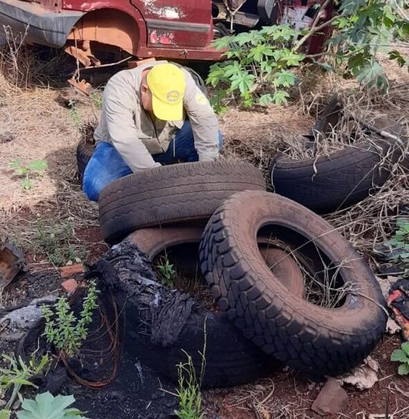 Los trabajos de rociado espacial y destrucción de criaderos del mosquito aedes aegiptis se realizan a diario en toda la ciudad. Foto: Gentileza