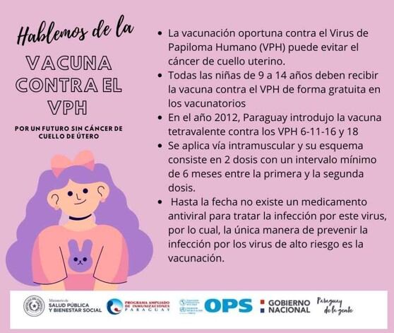 Una intensa campaña desplegará el Ministerio de Salud Pública para lograr la inmunización de las niñas de 9 a 14 años. Foto: Gentileza