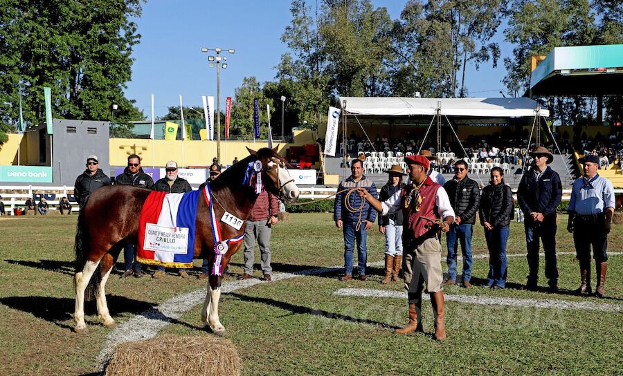 Esta es la Cuarta Mejor Hembra, Kenia, de la Ganadera Las Pampas del mismo grupo empresarial.FOTO: CARLOS JURI
