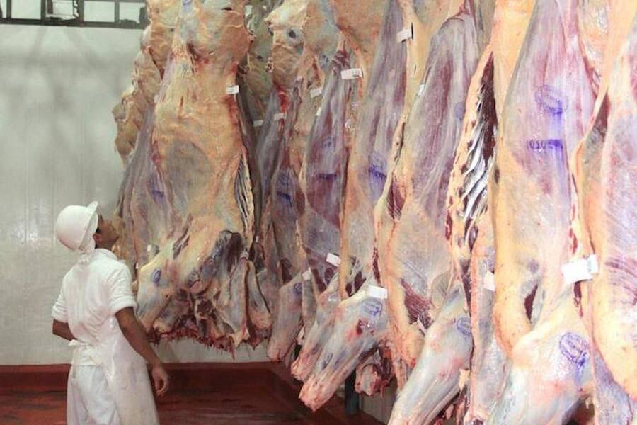 Gremio empresarial americano se dirigió a líderes claves de la Cámara de Representantes de USA solicitando el voto para permitir la importación de carne de Paraguay a los EE. UU. Foto: Archivo