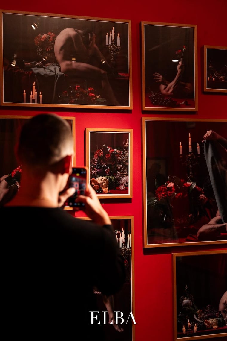 “Elba” está habilitada en el Museo de Nacional de Bellas Artes. Foto: Gentileza  - Icónico