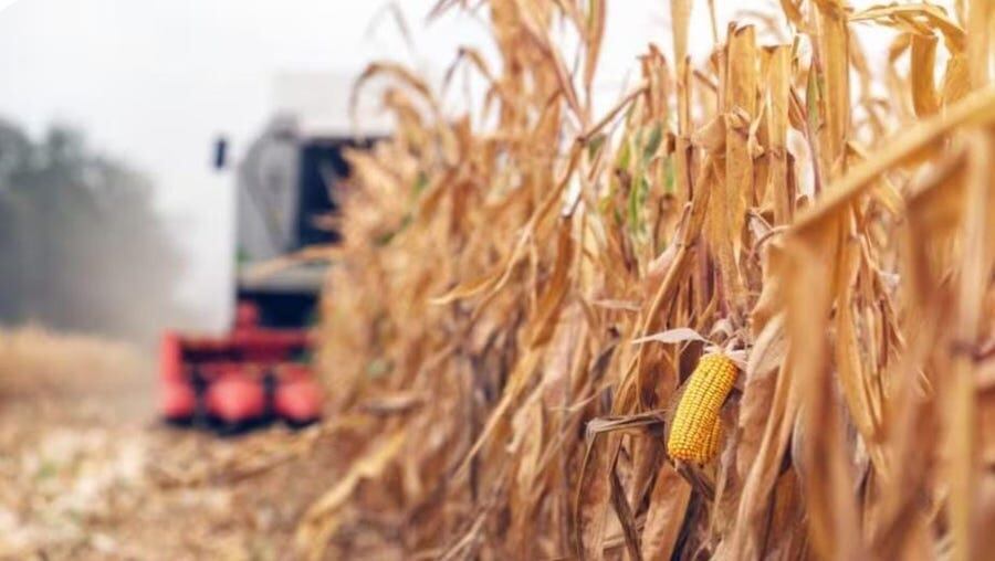 Se espera un crecimiento del PIB de 3,5 % en 2025, todavía impulsado por el consumo, pero con riesgos a la baja debido a una posible sequía. Foto: Archivo