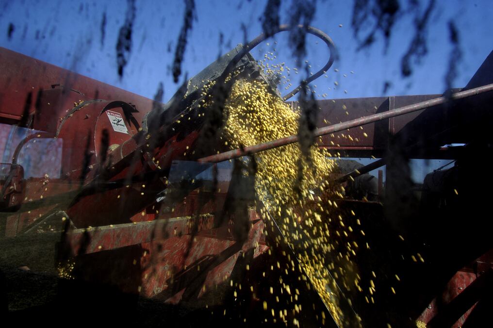 Se acordó crear una plataforma de comunicación directa entre productores de soja de ambas naciones y que apunta a fortalecer los lazos comerciales. Foto: AFP