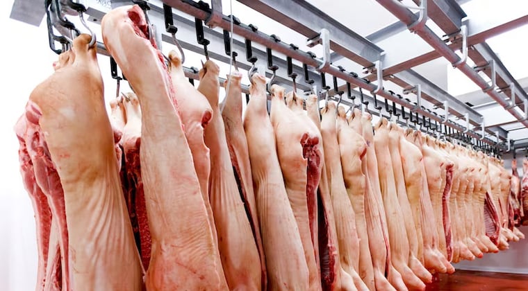 Argentina habilita su mercado a la carne porcina paraguaya Argentina habilita su mercado a la carne porcina paraguaya