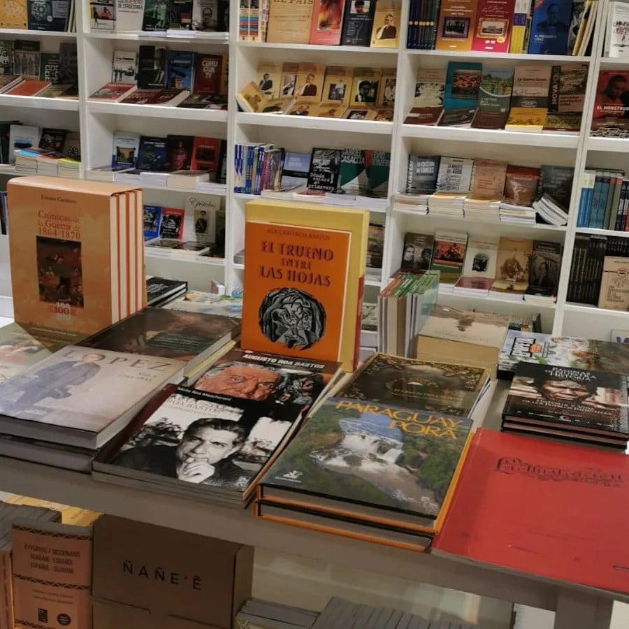 Con motivo del Día del Libro Paraguayo, que se recuerda el próximo 25 de junio, Milia Gayoso, Javier Viveros y Vidalia Sánchez hablan sobre sus experiencias en la industria editorial en la isla rodeada de tierra