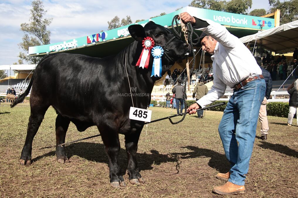 Desde el martes 17 al lunes 23 de setiembre, la Asociación de Criadores de Brangus del Paraguay realiza su feria Nacional de Primavera, en la ARP. Foto: Eduardo Velázquez
