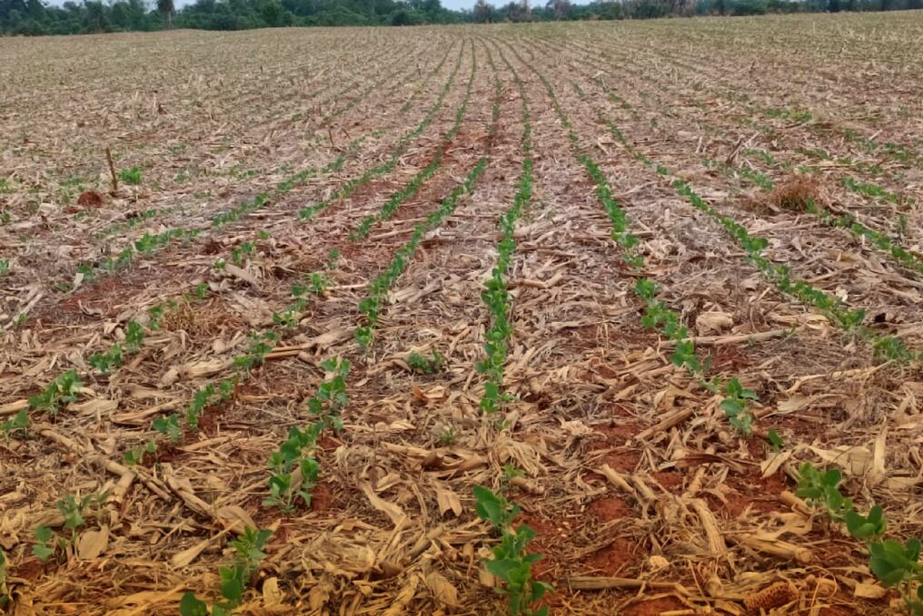 La situación de falta de lluvias ya lleva extendida por un tiempo prolongado, resaltaron desde el Inbio. Foto: UGP