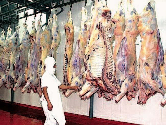 Del 100 % de las exportaciones de carne paraguaya, lo que proviene de los frigorficos de las cooperativas que integran la Fecoprod llega a una participacin del 30 % en los envos.FOTO: ARCHIVO