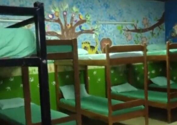 Los chicos reciben contención y alimentación en un ambiente acogedor. Foto: Captura de pantalla