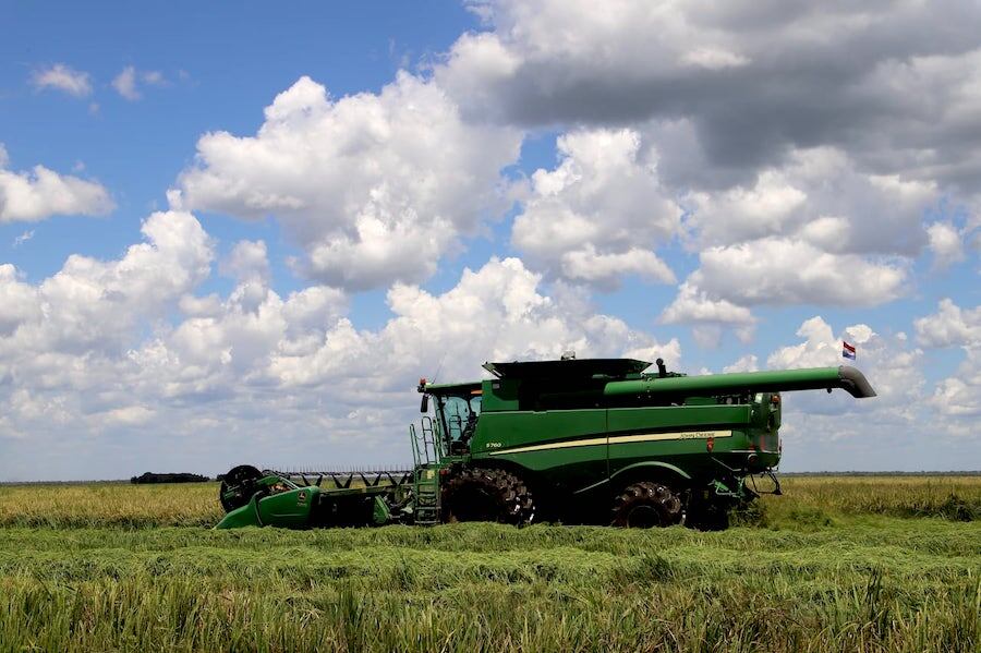 Los productores denuncian el acuerdo comercial en negociación entre la UE y el Mercosur, ya que temen una “competencia desleal” de los agricultores de Argentina, Brasil, Paraguay y Uruguay. Foto: Ilustrativa