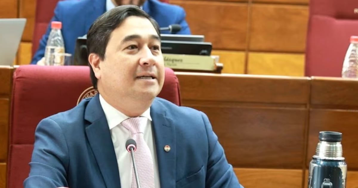 Nakayama propone la creación de un Ministerio de Minas y Energía