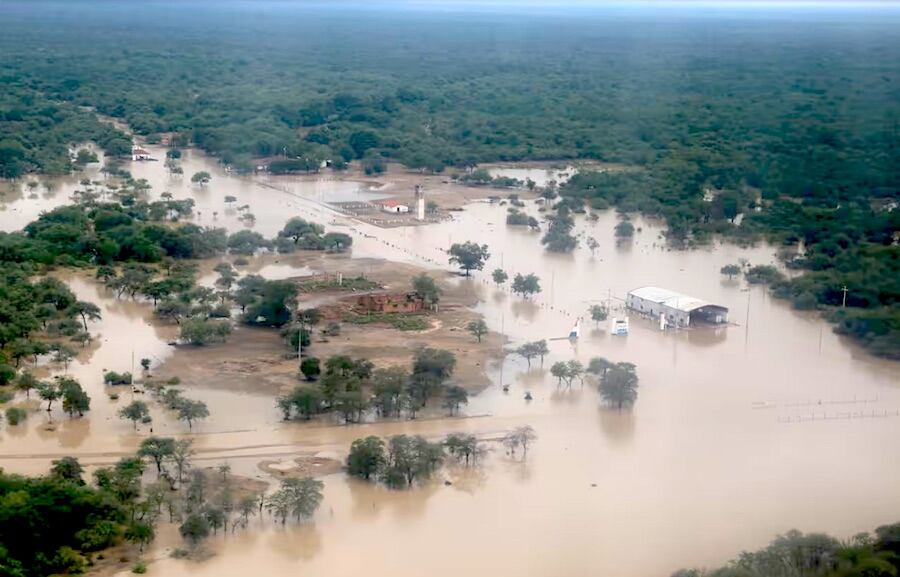 Las precipitaciones repercuten en la producción ganadera de la región Occidental, donde Alto Paraguay tiene 1,8 millones de cabezas de ganado y representa entre el 30 % y 32 % de la carne exportada del país. Foto: Gentileza
