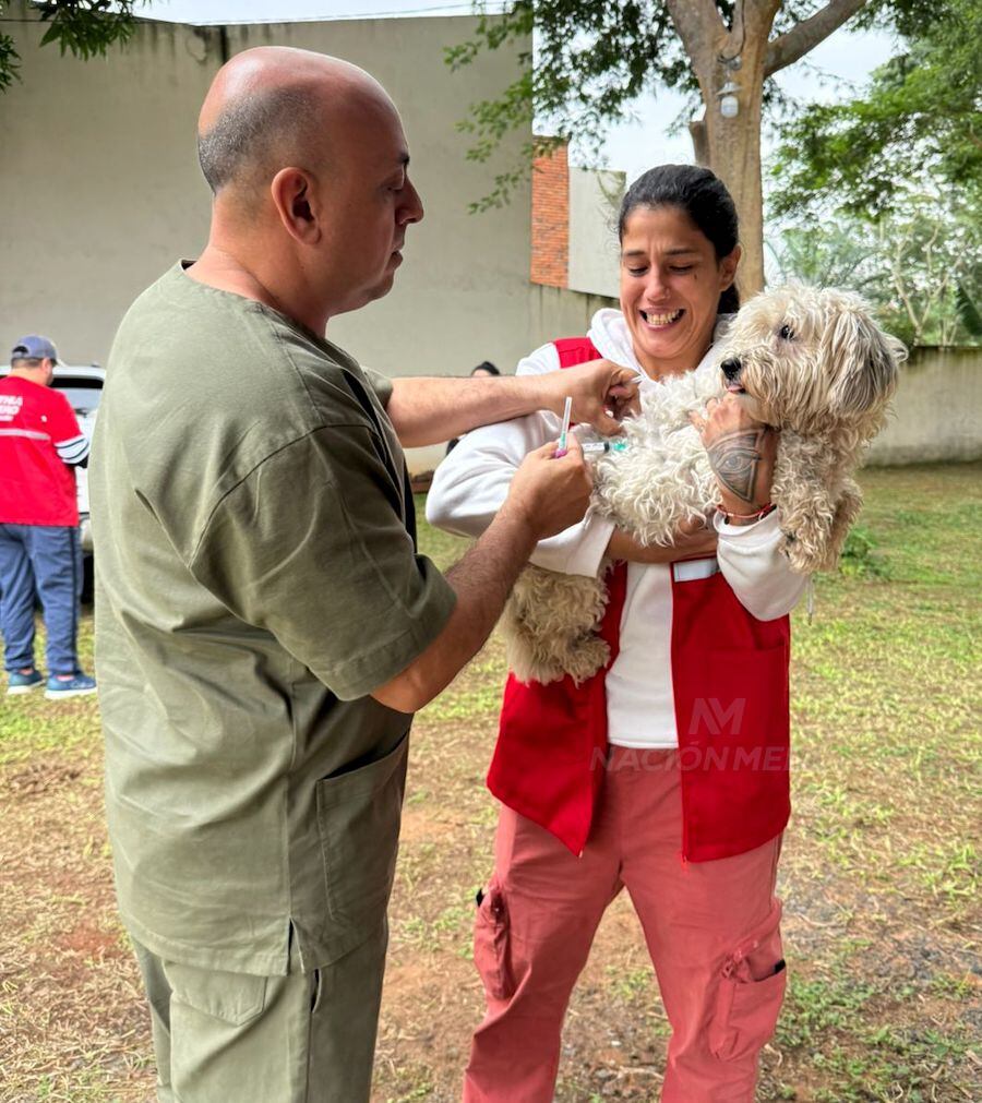 Las mascotas fueron vacunadas y desparasitadas, durante el fin de semana.FOTO: MATÍAS AMARILLA