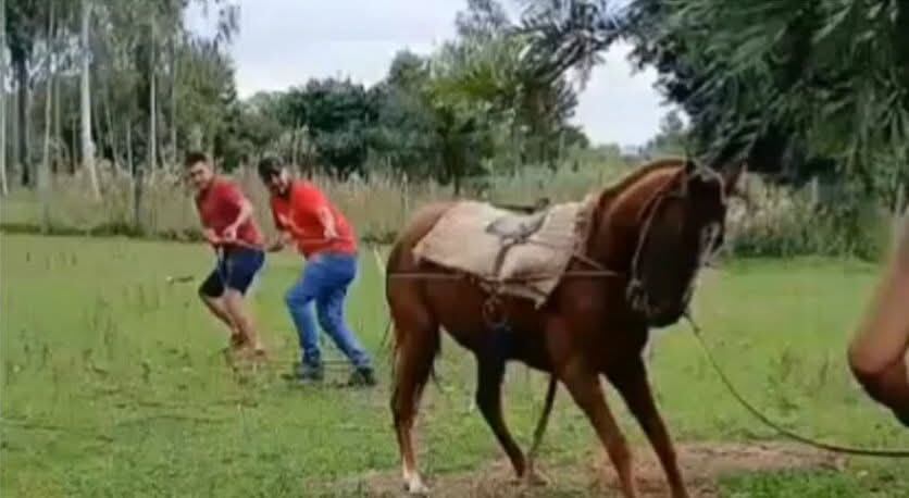 Se trata de William Alejo García, que ya cuenta con orden de captura y detención que fue emanada por la Fiscalía. Foto: Captura de pantalla