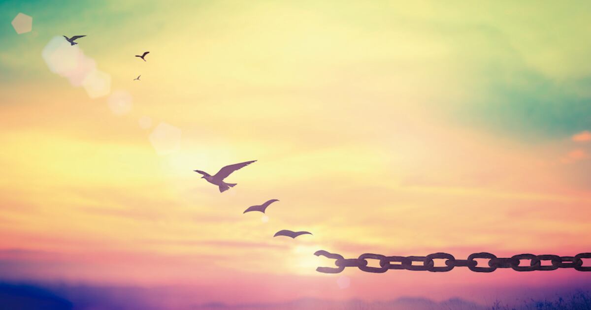 La Nación / El límite de una vida rota