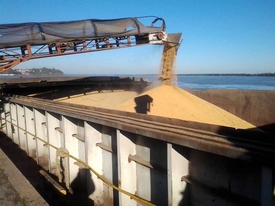 La tendencia a la baja en los precios de los principales commodities agrícolas sufrió una leve disminución. Foto: Archivo