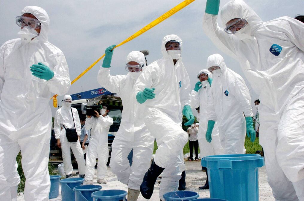 El ministerio de agricultura de Japón confirmó la enfermedad y desde hoy comenzará el sacrificio de 50.000 aves de una granja. Foto: Archivo/AFP