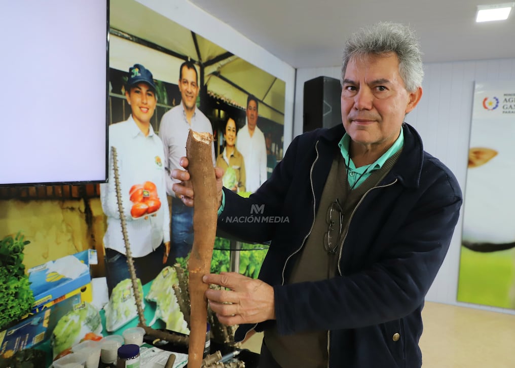 “Mantener una calidad medianamente aceptable hoy implica aplicar un proceso técnico más exigente, que va desde el manejo del suelo hasta la poscosecha”, afirmó el especialista. Foto: Roberto Zarza