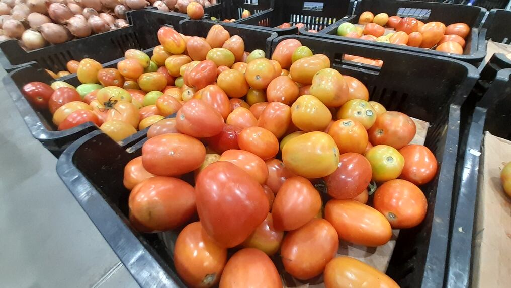 Hoy en la Feria del MAG que se realiza en la Dirección de Comercialización, en San Lorenzo, el tomate está en G. 9.000 el kilogramo. Foto: CMG/NM