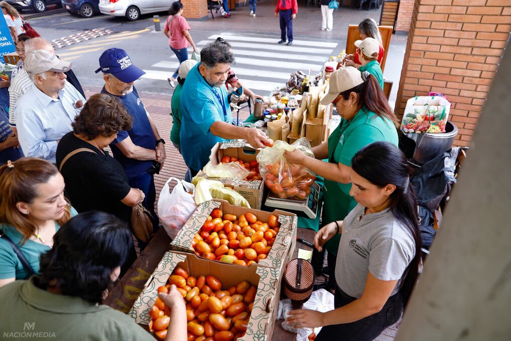 Productores aceraron hasta la capital unas 10 toneladas de tomate nacional, que fueron comercializadas en su totalidad en las ferias simultáneas para mucho antes del medio día. Foto: Emilio Bazán