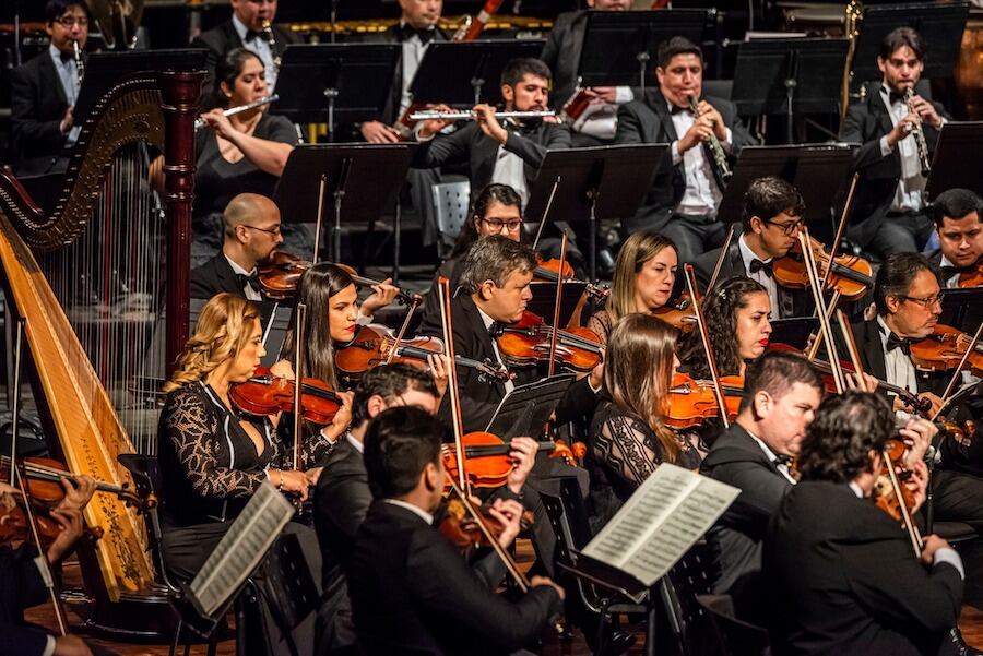 La OSN se viste de gala para despedir el año con varios espectáculos de temática navideña