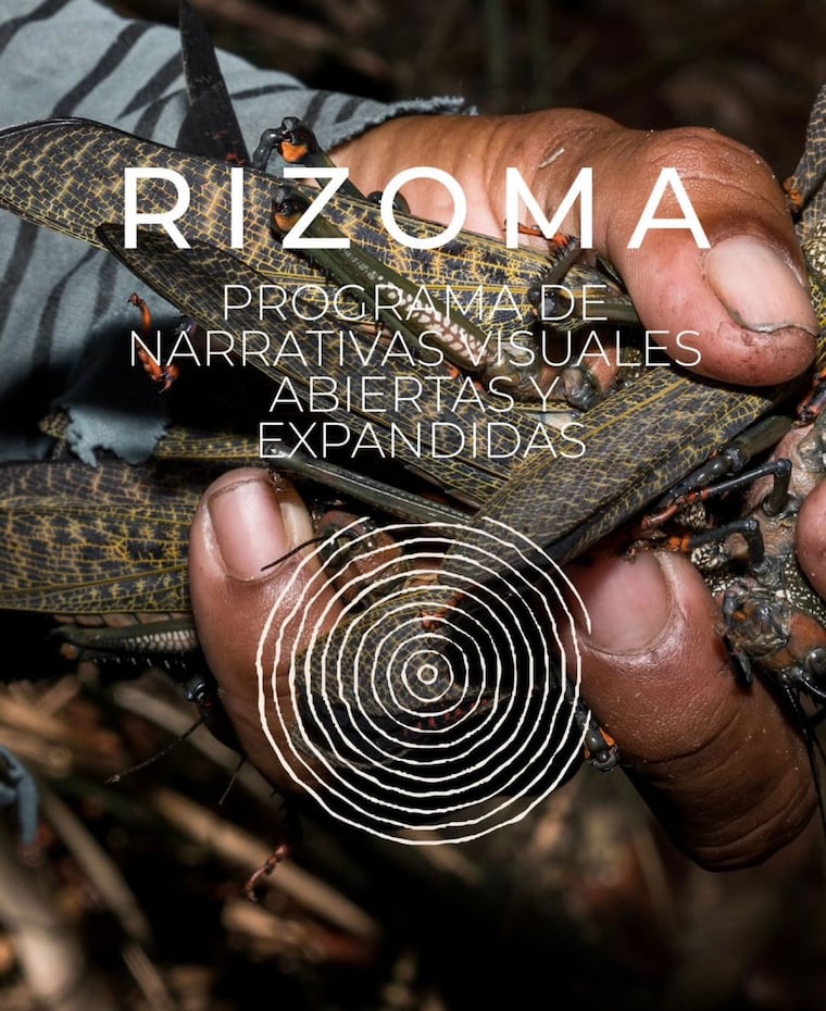 “Rizoma”.