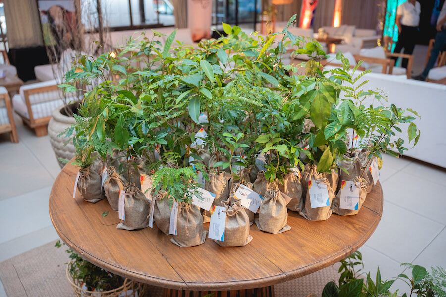 Los invitados se llevaron de recuerdo arbolitos de distintas especies