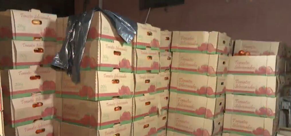 Los productos incautados carecen de los documentos que avalan su procedencia. Foto: Gentileza
