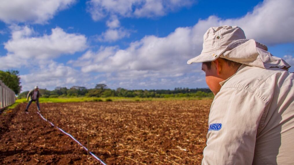 El 8 de febrero, en Itapúa, se realizará una demostración de los avances desarrollados en el Parque Tecnológico Inbiotec. Foto: Gentileza