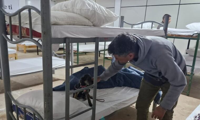 Perrito que llegó con su dueño al albergue de la Municipalidad. Foto: Angelica Giménez GEN