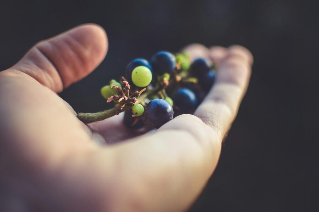 Además de optar por una alimentación balanceada, estimular la salud cognitiva también depende de otros hábitos saludables como realizar actividad física. Foto: Pexels