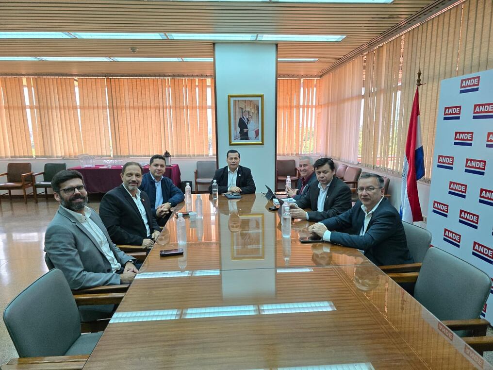 El presidente de la Ande Félix Sosa recibió a representantes de Fapasa del Grupo Adium, empresa del rubro farmacéutico, que prevé una inversión de USD 46 millones para la ampliación de su planta industrial. Foto: Gentileza