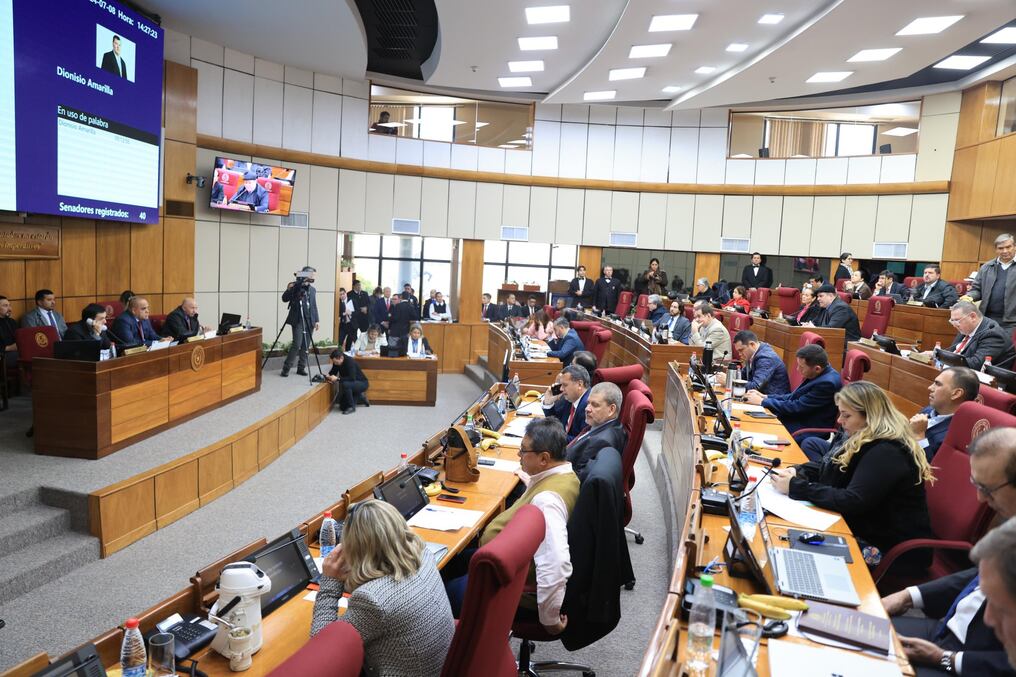 El tratamiento del proyecto de ley se prevé en una sesión extraordinaria, donde además se estarán estudiando otras propuestas legislativas que tendrán sanción automática en los próximos días. Foto: Gentileza